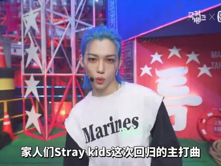 专辑预售破500万,迷回归曲比我的人生还乱#kpop #男团 #爱豆 #音乐 #straykids