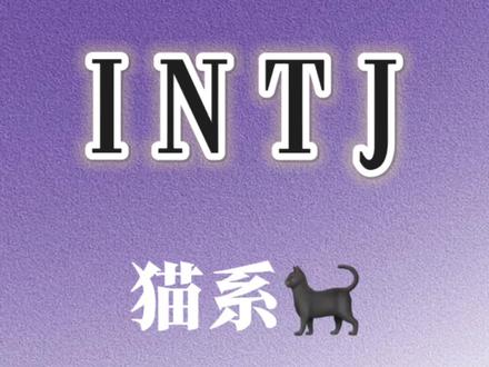 享受自由 能预知危险 行动敏捷的紫老猫,你喜欢吗#intj #mbti #创作者扶持计划