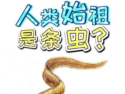 人类最早祖先居然是条虫?#萌知计划 #科普知识 #兴趣才艺 #我要上热门 #涨知识 @抖音青少年 #画画