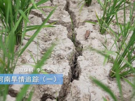 河南:农田遭重旱 庄稼受“烤”验