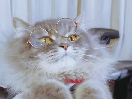 画一个克苏鲁小插画,参考了我爱吃的章鱼小丸子。#充能计划 #插画 #板绘#手绘 #克苏鲁 #恐怖 @抖音小助手