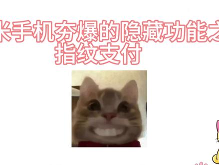 小米手机夯爆的隐藏功能 指纹支付#小米 #红米 #科普 #哈基米