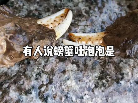 大闸蟹吐泡泡到底是咋回事?#秋天怎么能少了一顿大闸蟹 #快来一起尝个鲜 #螃蟹🦀