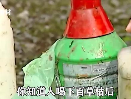 农药百草枯究竟有多可怕?致死率高达90%以上,短短7年毒害10万人 #科普一下 #涨知识 #百草枯