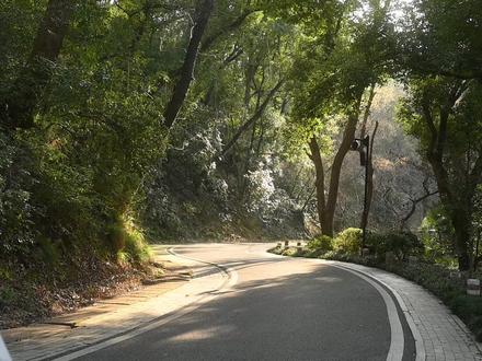 去了N次!这里才是武汉市区徒步天花板 🍃 这是一条被低估的武汉市区内徒步路线,在这条路线上比可以感受到盎然的春意、以及楚国800年来厚重的历史,肆意吸收大自然的能量
路线简单又小众,几乎没什么人,并且超级解压,没有运动习惯的人也可以当做户外轻徒步的入门
全程7.7km,走走停停拍拍耗时约3小时,建议下午2-3点出发,这样走到东湖边时,正好能欣赏到东湖的夕阳
🗺️ 路线规划:
东湖磨山南门👉🏻映霞桥👉🏻杜鹃园👉🏻千帆亭👉🏻朱碑亭👉🏻五岔路口👉🏻楚天台👉🏻五棵松👉🏻林间探微👉🏻自然之谜遗址👉🏻离骚碑👉🏻昭王尊孔👉🏻鬻熊👉🏻楚才园👉🏻楚城👉🏻东湖绿道👉🏻👉🏻磨山南门
🔍 两步路搜索:武汉东湖磨山·楚才环线,获取详细路线图
🏞️ 精华景点:
1️⃣ 映霞桥和杜鹃园之间的草地、古木与怪石,打卡拍照非常出片
2️⃣ 五岔路口可以拍到构图绝美的磨山缆车
林间探微的小木屋打卡必拍
3️⃣ 楚才园里的鬻熊也是必打卡景点
4️⃣ 天气好的话,东湖的日落也非常美
🎒 装备建议:
1️⃣ 穿上自己最舒适的徒步鞋以及最透气的穿搭
2️⃣ 背上一款兼具户外与日常的轻户外徒步包
3️⃣ 阳光强烈的时候注意防晒
#东湖 #磨山 #武汉徒步 #徒步 #武汉徒步路线