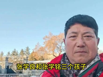 唯一敢骂张作霖的护弟狂魔张首芳 #张作霖大帅 #张学良少帅 #张氏帅府 #吹爆美好目的地 #开拍即新年