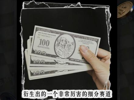 “宠物经济”下的细分赛道:宠物冥币 #创业