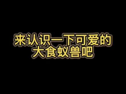 来看温蒂宝宝啦,我猜好多人都没怎么见过这款大宝贝#大食蚁兽 #长隆野生动物世界 录屏来自@动物幼儿园