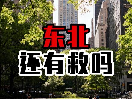 东北还有救吗? #经济发展 #趋势分析 #财经