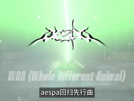 aespa回归先行曲《WDA》到底在讲什么? #aespa #aespa回归 #kpop #柳智敏 #aespawda