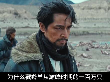 为什么巡山队无法阻止藏羚羊的灭绝 #生命树 #胡歌 #杨紫 #影视解说 #抖音精选