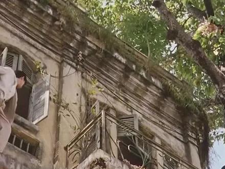 越南混乱镜头下的肮脏生活 #电影 #越南电影 #梁朝伟