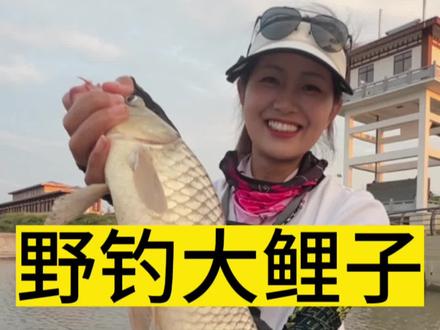 如果你钓到鲤鱼了会吃嘛?#湖北人不吃鲤鱼 #原来钓鱼才是抖音运动顶流 #女钓手 #2023dou来钓鱼#老坛甜薯