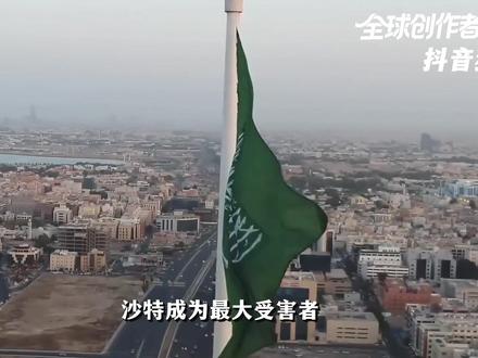 沙特成为最大受害者,阿联酋退出欧佩克!它对中美意味着什么? #零基础看懂全#全球创作者计划