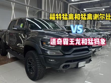 福特猛禽和谢尔比VS道奇霸王龙和猛犸象,怎么选? #猛禽 #霸王龙