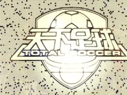 #亚历山大宋 退役 结束漂泊职业生涯#足球⚽️ #唯有足球不可辜负