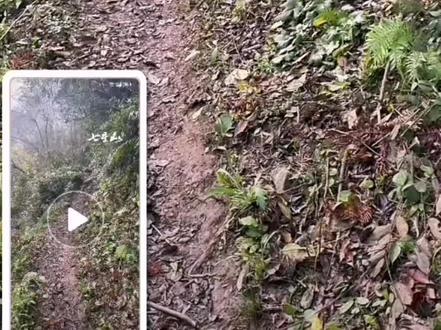 老六荒野今日有新情况,比往常开播时间晚一小时,投票规则及比赛时间更改。#看过来 #快来围观 #老六荒野 #重大新闻 #情况通报 @抖音热点 @老六荒野 @