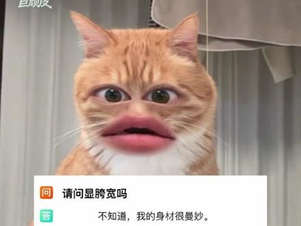 2026第一个梗出现了:不知道,我的身材很曼妙