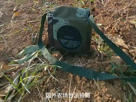 #国外合法狩猎 #国外合法拍摄国内请勿模仿 #抓鸡神器 #抓鸡绊脚线 #捕鸡网 国外合法拍摄,请勿模仿!!!@追蜂日记【户外装备】