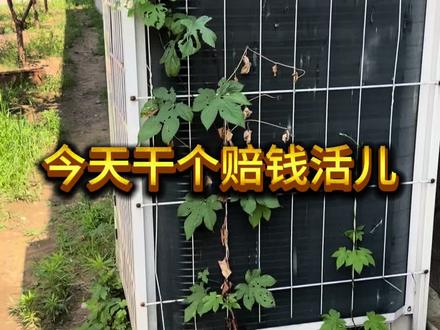这活儿干赔了#空调维修#技术分享#经验分享#中央空调
