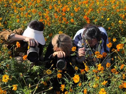 拍花海,别只拍花🌷 低角度仰拍、花瓣特写、人花同框
慢镜头抓风、前景虚化、逆光剪影
把春天的温柔藏进每一帧…
#又到了拍花的季节 #花海拍照 #抖音摄影美学大赏 #春天的色彩 #和春天的花花合个影