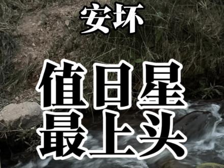 值日安坏才是所有星宿中最上头的#安坏 #安坏关系 #星宿 #星宿关系