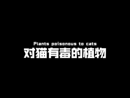 #动植物观察局 这些对猫有毒的植物,你都知道吗?@抖音青少年