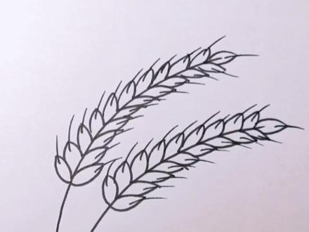 麦穗这样画是不是很简单?赶紧试着画画吧#简笔画 #育儿简笔画 #热门 #想画就画 #画画 #充能计划