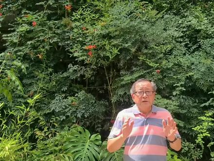 王红旗馆长讲述《国家卫健委叫停二种手术不能作》【原创】