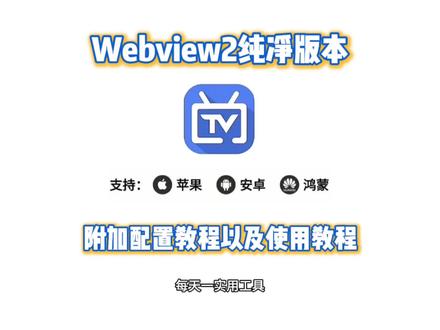 《榴莲来了》webview2纯净版下载教程它来了#webview#webview纯净版#webview下载教程#webview下载