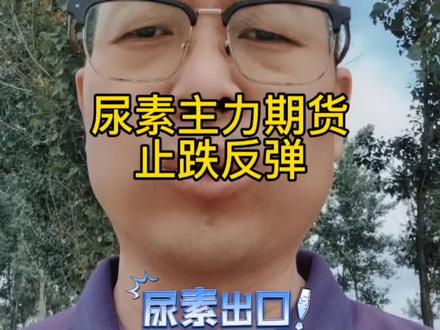 2026年5月20日尿素真的要起飞吗? #尿素 #尿素价格