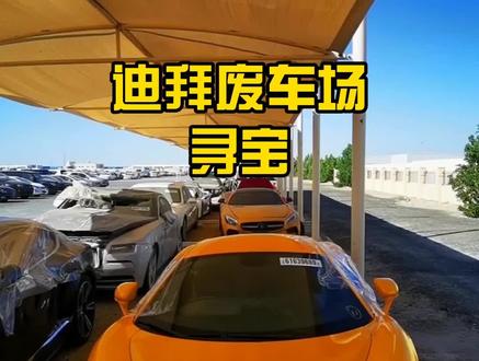 花了6000块门票,就为了去迪拜的废车场寻宝