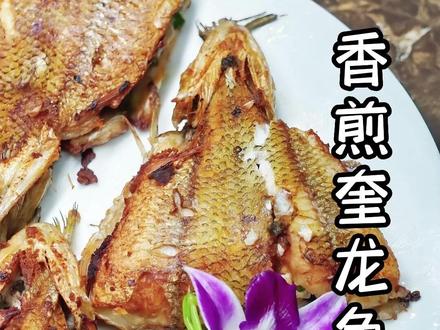 都说爱吃海鲜的人,都会对海鲜了不了的结,也许奎龙鱼就是海鲜人的其中一结吧#美食 #海鲜 #北海美食 @海队长