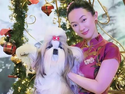 现在最佩服的就是霍思燕了! 自家狗狗夺冠后到手的15万欧元全捐给原生犬种基因库了!#霍思燕 #宠物