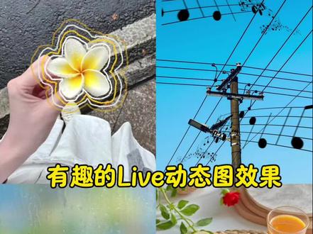 动态plog图片制作教程来啦!超简单的安排起来!#剪映 #plog #动态涂鸦教程 #动态live图 #live
动态涂鸦plog教程音乐 动态涂鸦plog软件 plog花朵动图制作教程 剪映实况图怎么弄 剪辑教程 live动图特效 动态图制作教程 剪映动态图特效