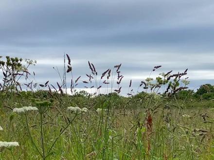 泽西岛的一天#海外生活 #vlog日常 #旅行vlog #留学生活 #旅行