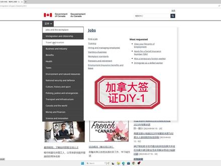 手把手教你DIY申请加拿大签证,保姆教程!-1
#加拿大签证 #加拿大签证申请