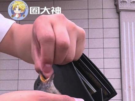 能想到这个办法也是个神人来的!!