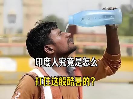 太热了,连牛马都中暑了!印度人究竟是怎么扛住这般酷暑的?