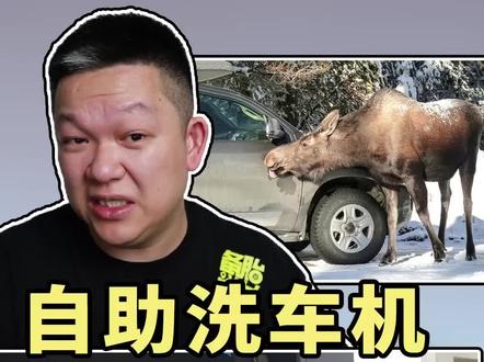 洗一次只要10块钱,自助洗车机到底好不好用?点赞关注了解更多用车知识!#每天一个用车知识 #汽车人共创计划 @抖音小助手 @抖音汽车