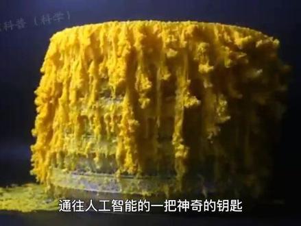 它们没有大脑,却展现出很强的智慧,黏菌的秘密究竟是什么#黏菌 #涨知识