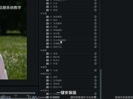 AE 2026 内置CC插件汉化和Keylight抠像汉化 #影视后期系统教学 #AE插件 #AE2026
