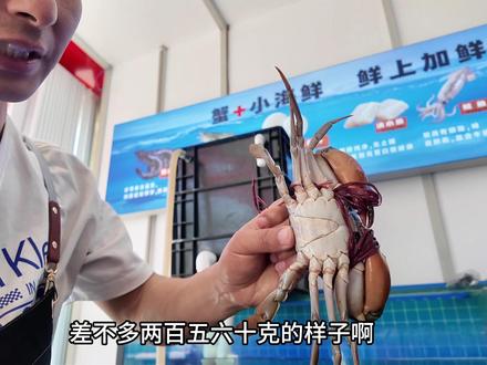 知道为什么江浙那边的喜欢吃螃蟹了 #辣螃蟹 #香辣蟹 #螃蟹火锅 #香辣蟹煲