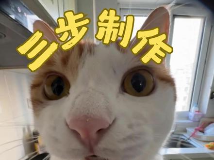 咪的vlog教程 简单三步教你让家中宠物张嘴说话拍vlog
#AI视频 #AI教程 #猫咪vlog #猫主子日常 #抖音创作者大会