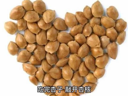食物 | 杏仁也分有毒没毒?
#干果零食 #杏仁 #坚果 #知识搬运工
