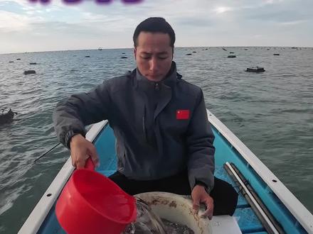 窝料的调制方法#海钓#钓鱼人 #钓鱼人就是这么疯狂