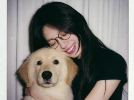 和狗狗相拥合照的ai指令教程来啦!#豆包ai#豆包P图指令 #和狗狗合照 #和宠物合照 和自家萌宠合照ai指令教程 豆包P图指令教程