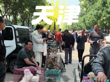 天津狗市大集#天津狗市 #天津 #萌宠出道计划 #狗狗🐶 #不养狗不知道养狗的乐趣