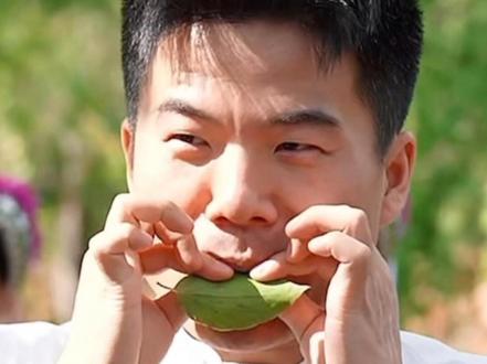 起猛了,@董宇辉 老师来云南了!@思茅文旅 评论区再次惊现董郎君,小编思思激动的今晚睡不着觉啦!让我们一起@与辉同行 追随光!成为光!#董宇辉 #与辉同行云南行 #与辉同行把云南讲活了 #茶是春天的仪式感 #思茅文旅