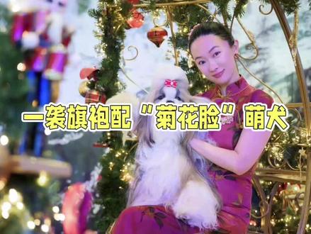实验犬逆袭成国际冠军!霍思燕旗袍惊艳欧洲